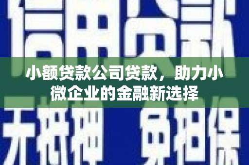 尚义小额贷款公司贷款，助力小微企业的金融新选择