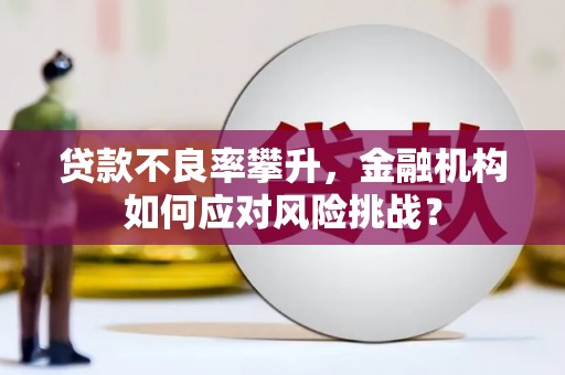 尚义贷款不良率攀升，金融机构如何应对风险挑战？