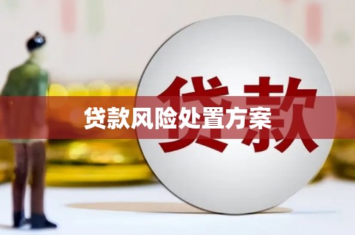 尚义贷款风险处置方案