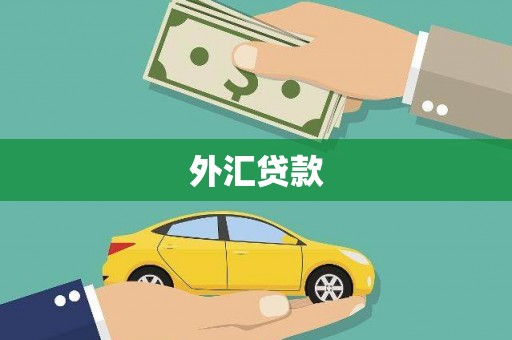 尚义外汇贷款