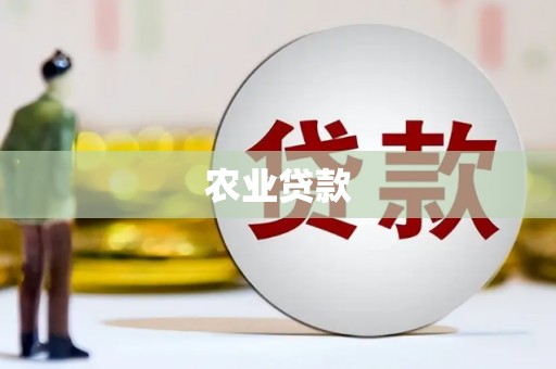 尚义农业贷款