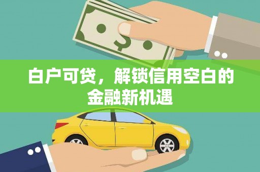 尚义白户可贷，解锁信用空白的金融新机遇