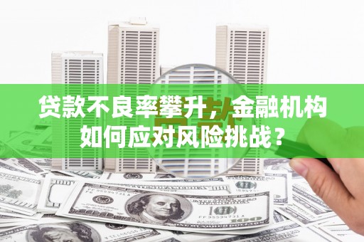 尚义贷款不良率攀升，金融机构如何应对风险挑战？