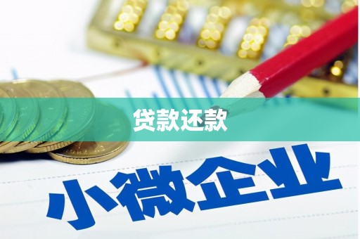 尚义贷款还款