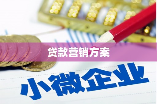 尚义贷款营销方案
