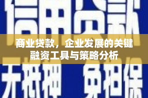 尚义商业贷款，企业发展的关键融资工具与策略分析