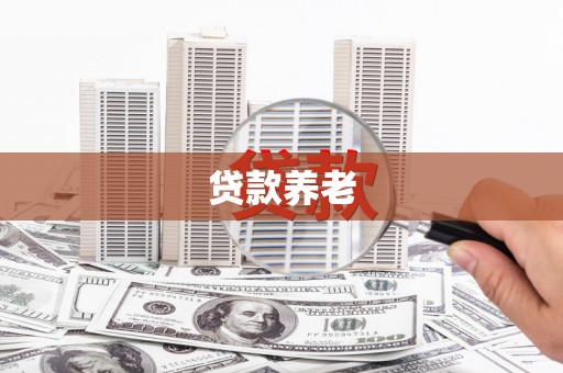 尚义贷款养老