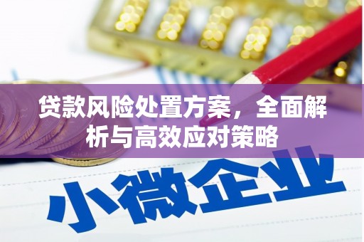 尚义贷款风险处置方案，全面解析与高效应对策略