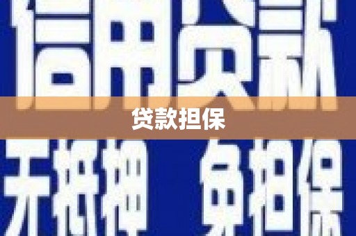 尚义贷款担保