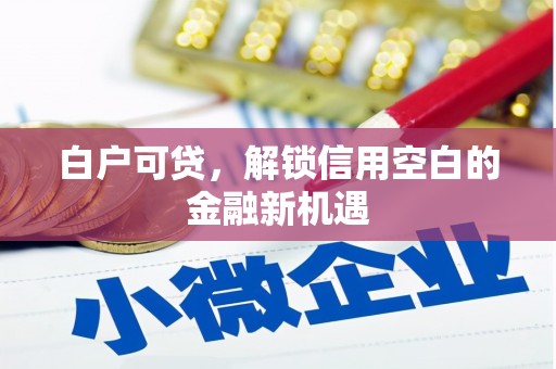 尚义白户可贷，解锁信用空白的金融新机遇
