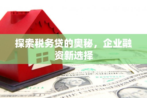 尚义探索税务贷的奥秘，企业融资新选择