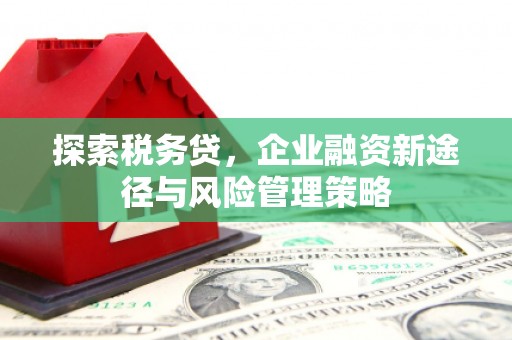 尚义探索税务贷，企业融资新途径与风险管理策略