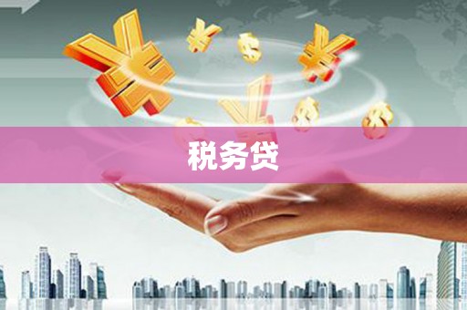 尚义税务贷