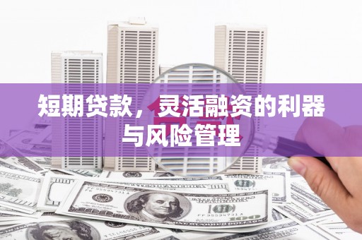 尚义短期贷款，灵活融资的利器与风险管理