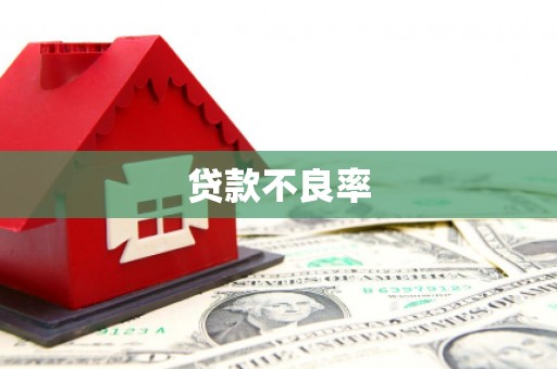 尚义贷款不良率