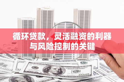 尚义循环贷款，灵活融资的利器与风险控制的关键