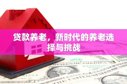 尚义贷款养老，新时代的养老选择与挑战