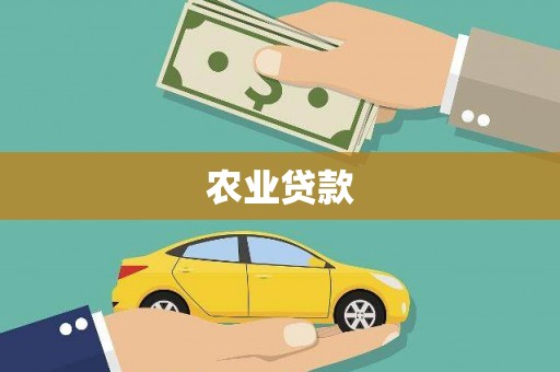 尚义农业贷款