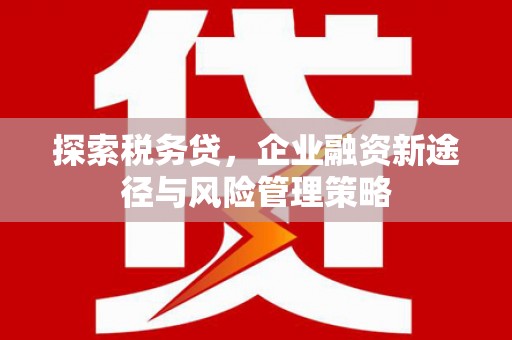 尚义探索税务贷，企业融资新途径与风险管理策略