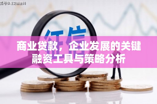 尚义商业贷款，企业发展的关键融资工具与策略分析