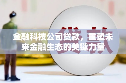 尚义金融科技公司贷款，重塑未来金融生态的关键力量