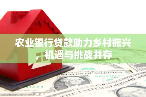 尚义农业银行贷款助力乡村振兴，机遇与挑战并存