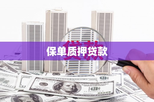 尚义保单质押贷款