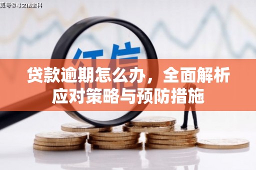 尚义贷款逾期怎么办，全面解析应对策略与预防措施