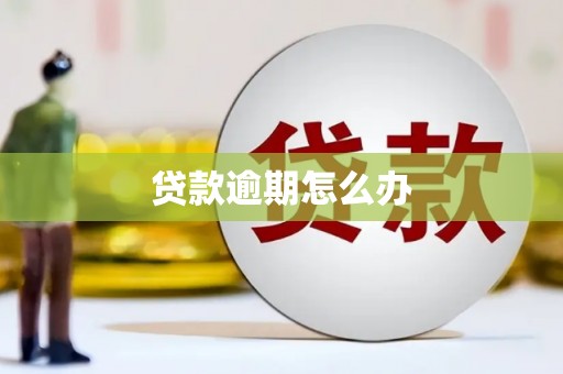 尚义贷款逾期怎么办