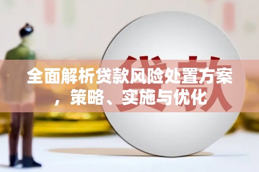 尚义全面解析贷款风险处置方案，策略、实施与优化