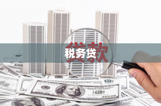 尚义税务贷
