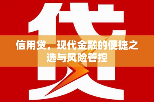 尚义信用贷，现代金融的便捷之选与风险管控