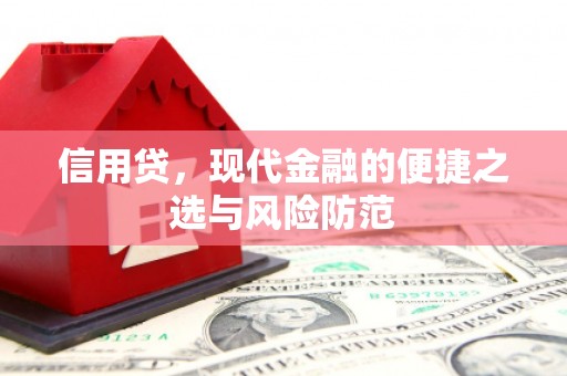 尚义信用贷，现代金融的便捷之选与风险防范