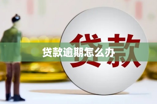 尚义贷款逾期怎么办