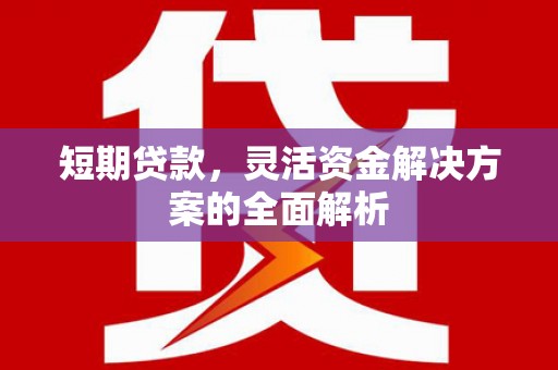 尚义短期贷款，灵活资金解决方案的全面解析