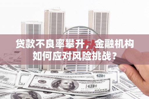 尚义贷款不良率攀升，金融机构如何应对风险挑战？