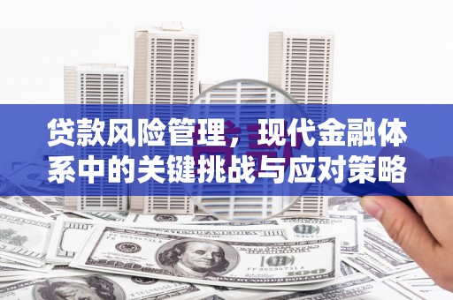 尚义贷款风险管理，现代金融体系中的关键挑战与应对策略