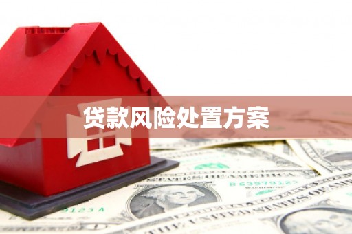 尚义贷款风险处置方案